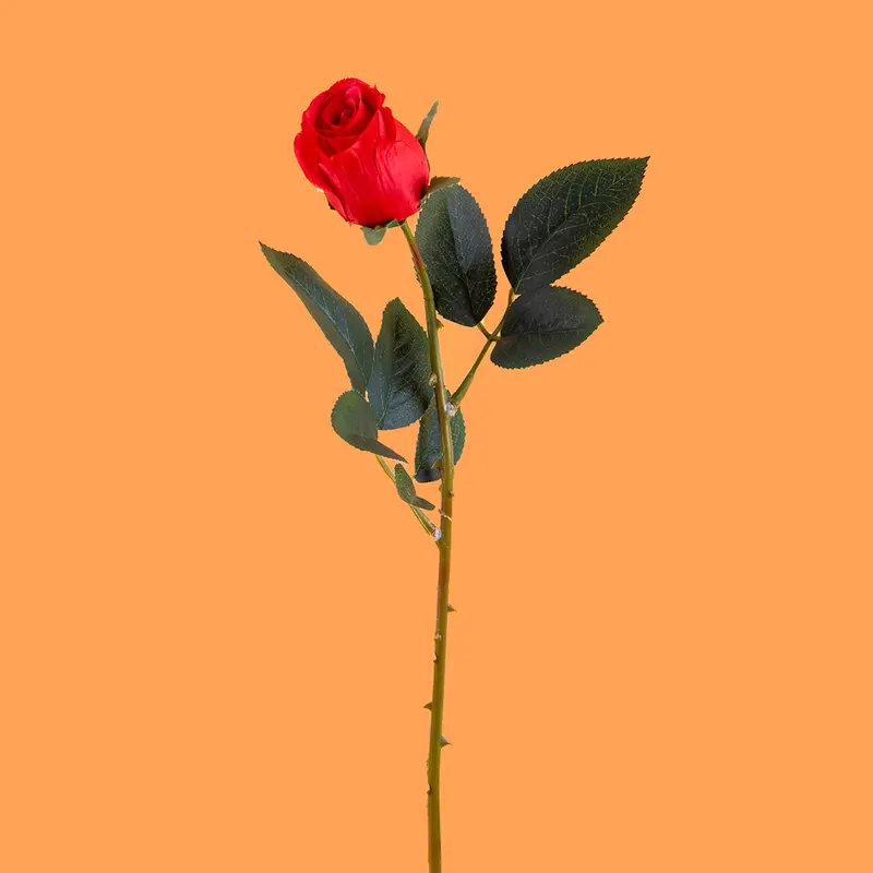 8 Pezzi • Rose artificiali in boccio • 64 cm